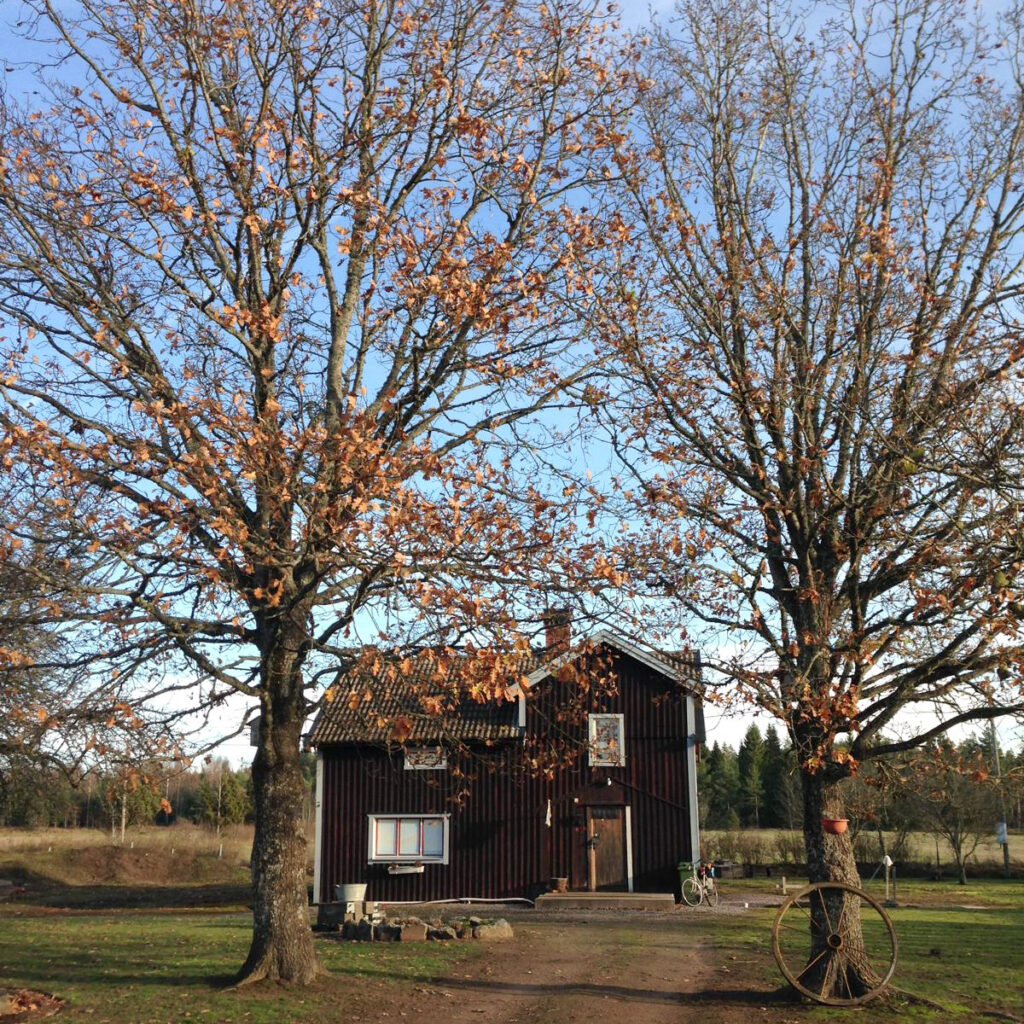 Historic Swedish Farmhouse in the countryside with trees and fields around.